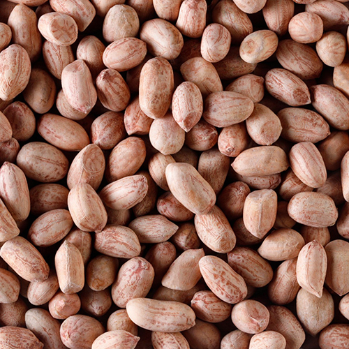 Peanuts (Groundnuts)